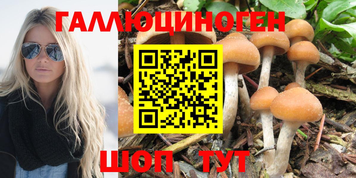 Псилоцибиновые грибы Psilocybe  Галлюциногенные грибы Psilocybine cubensis  Вход с VPN  купить наркотик  Дербент 