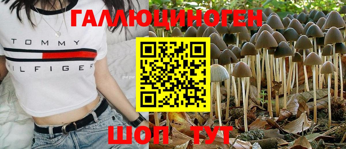 Галлюциногенные грибы Cubensis Дербент